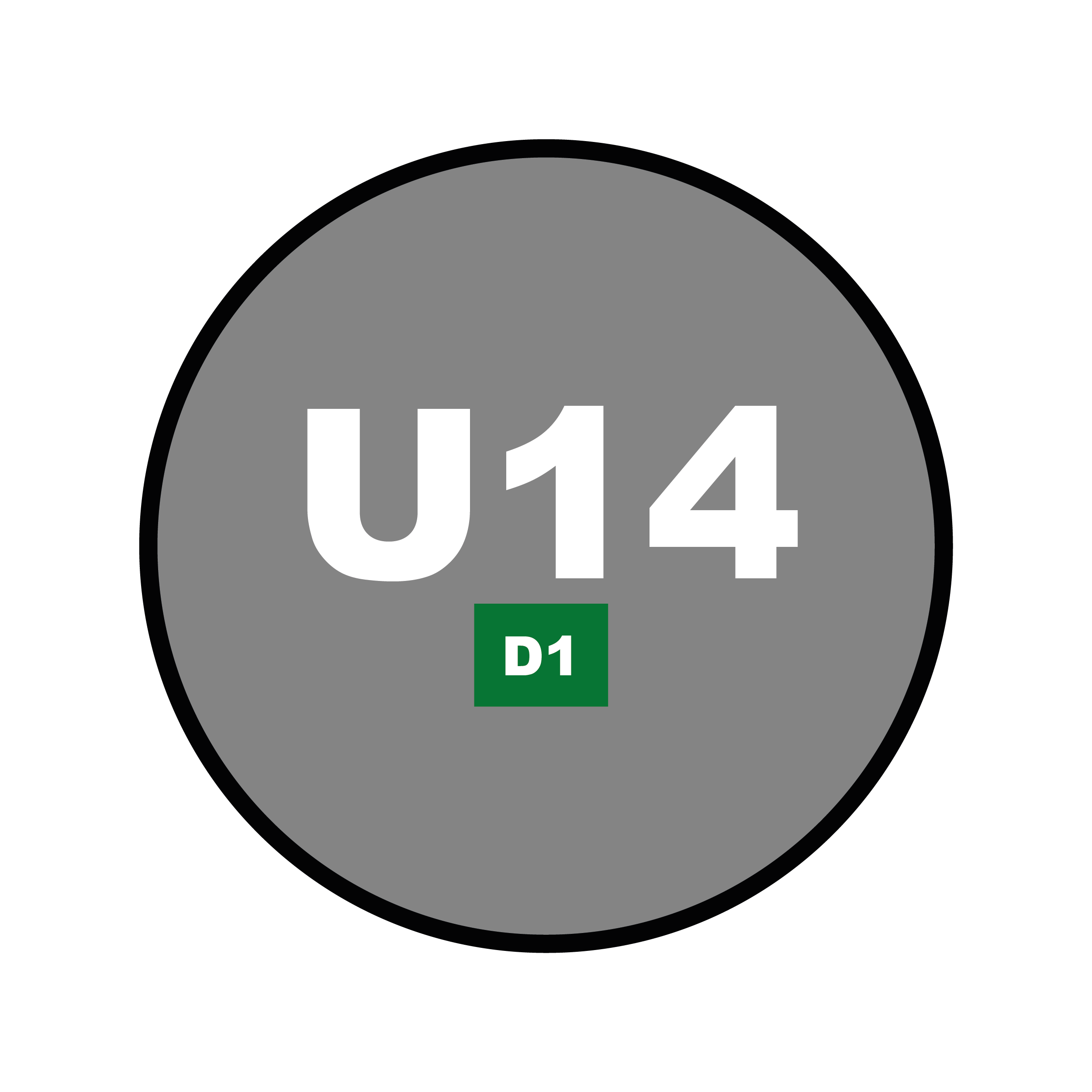 Catégorie U14 - D1