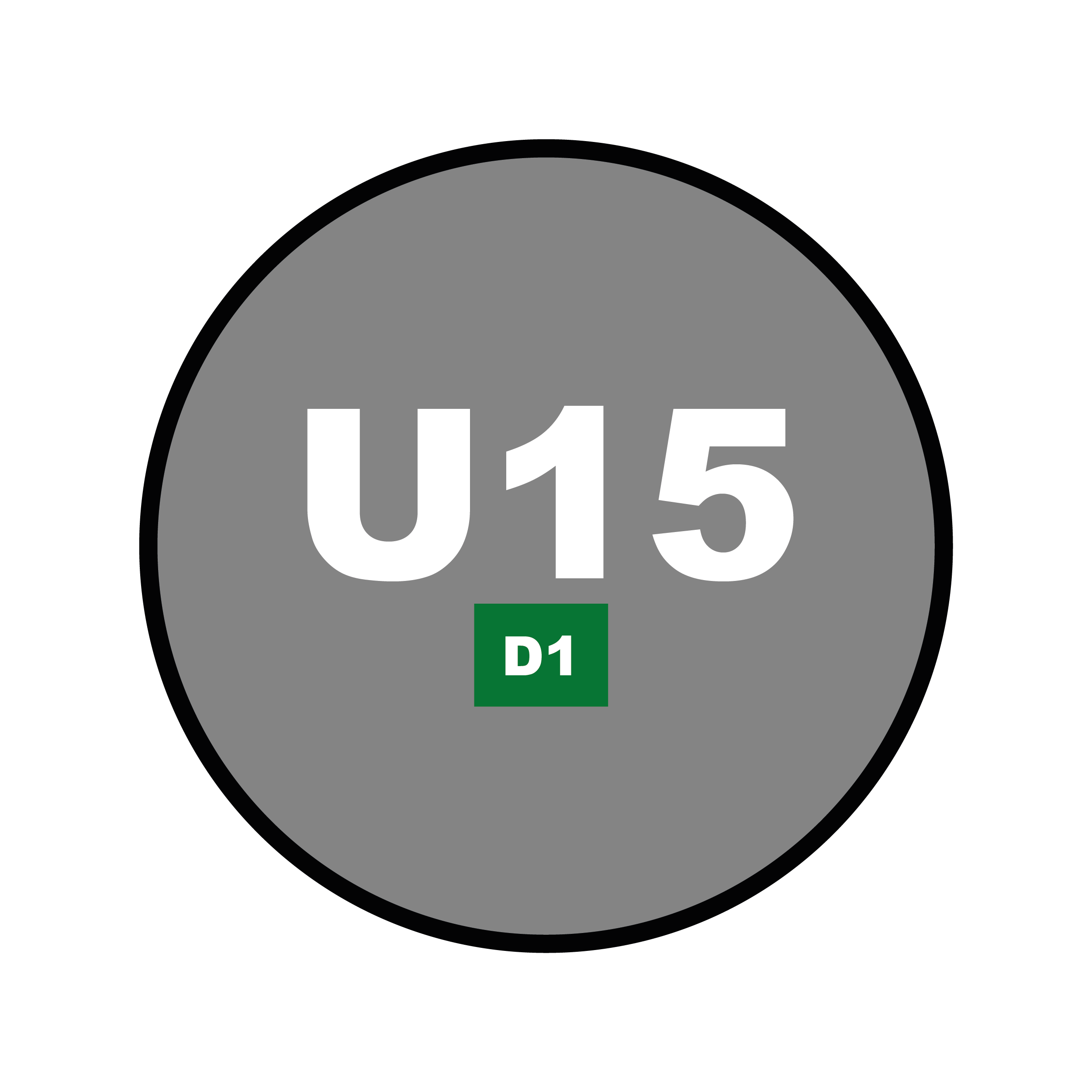 Catégorie U15 - D1