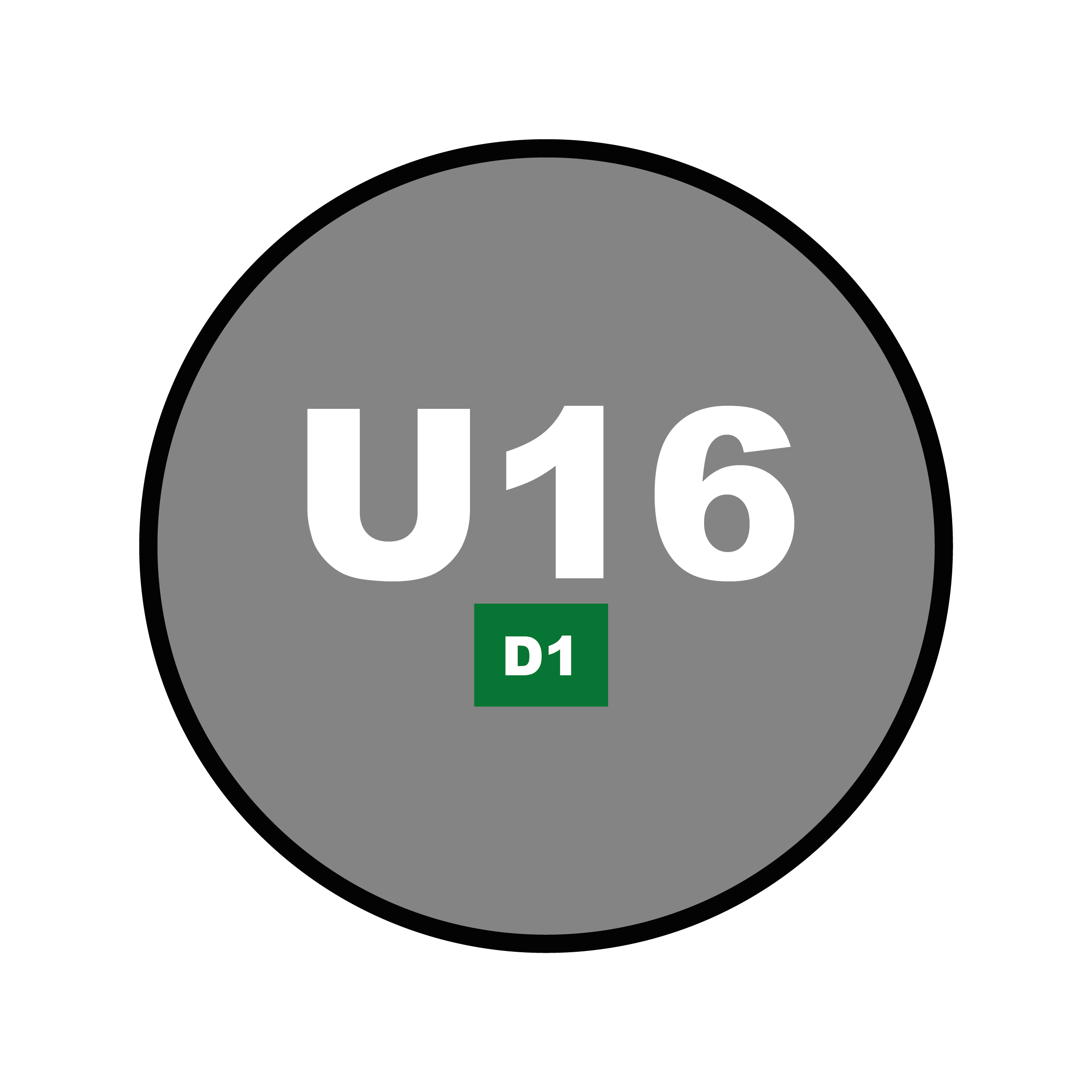 Catégorie U16 - D1