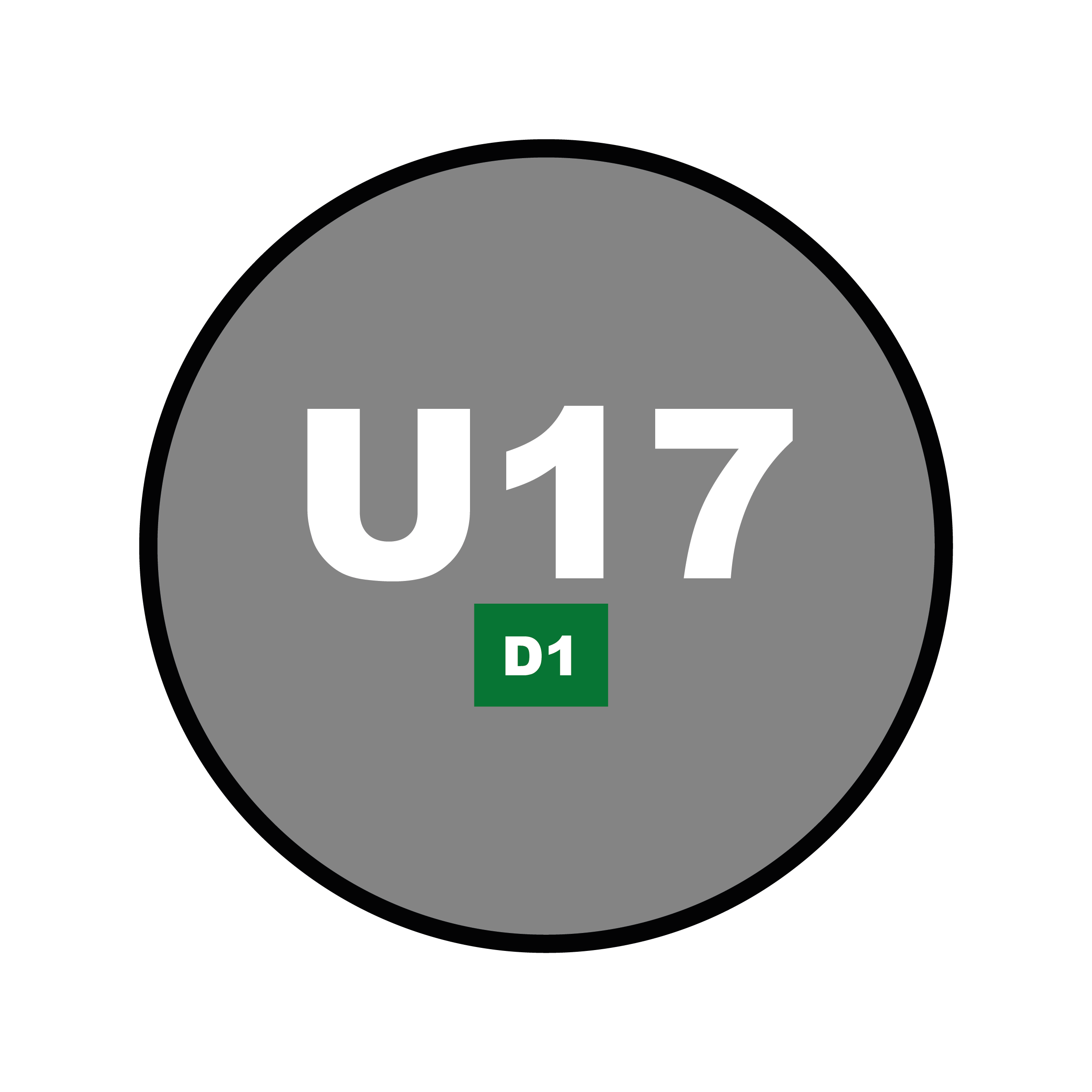 Catégorie U17 - D1