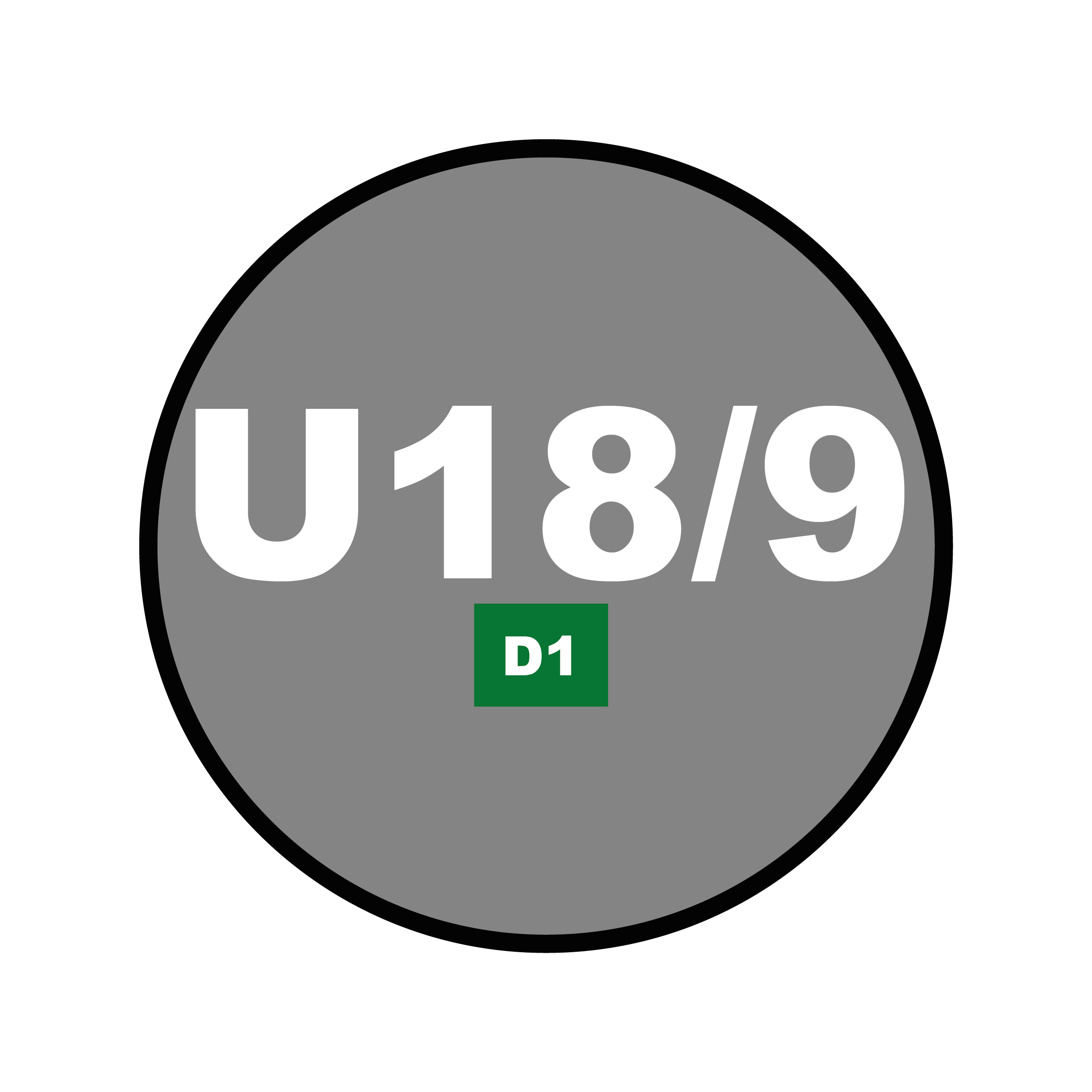 Catégorie U18 - 19 - D1